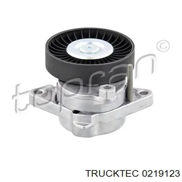 0219123 Trucktec ролик натягувача приводного ременя