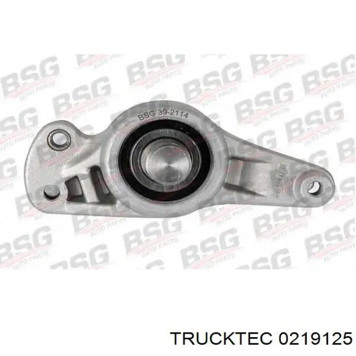Натягувач приводного ременя Trucktec 0219125