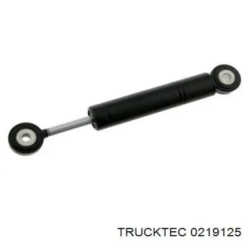 Купити 0219125 Trucktec Натягувач приводного ременя