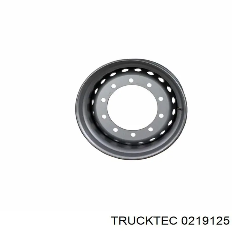 Натягувач приводного ременя 0219125 Trucktec