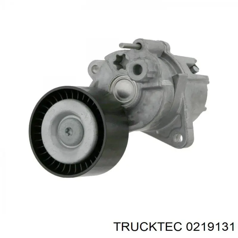 Натягувач приводного ременя Trucktec 0219131