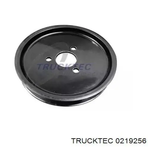 0219256 Trucktec шків насосу гідропідсилювача керма (гпк)