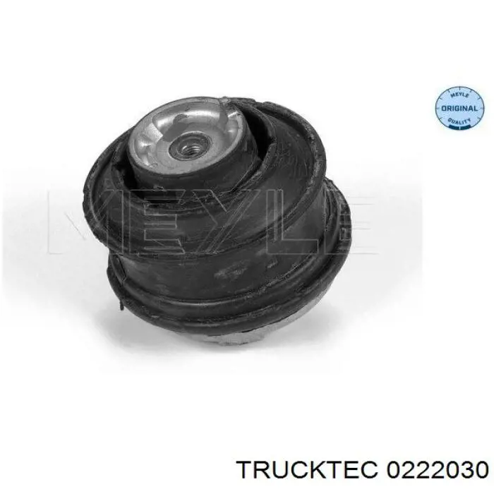 Подушка (опора) двигуна, ліва 0222030 Trucktec