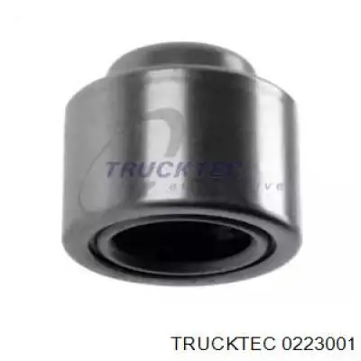 0223001 Trucktec опорний підшипник первинного валу кпп (центрирующий підшипник маховика)