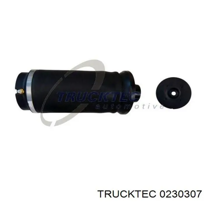 Пневморессора задня Trucktec 0230307 ціна, від 126.69 USD