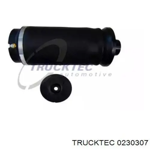 Пневморессора задня Trucktec 0230307 ціна, від 121.53 USD
