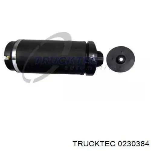 0230384 Trucktec Пневмоподушка/пневморессора моста заднього