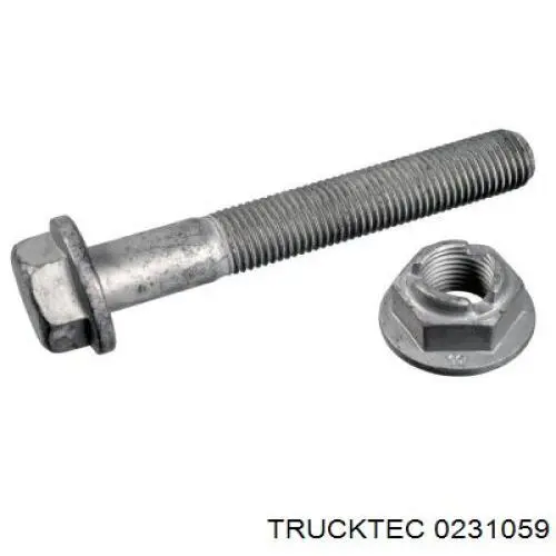 Важіль передньої підвіски нижній, лівий 0231059 Trucktec