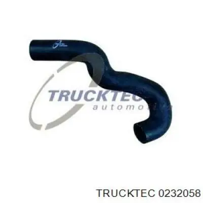Купити 0232058 Trucktec Сайлентблок задньої балки