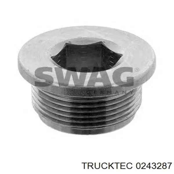 Купити 0243287 Trucktec Пробка піддона двигуна