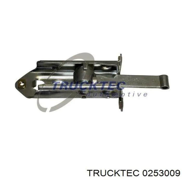 Купити 0253009 Trucktec Обмежувач відкриття дверей, задній