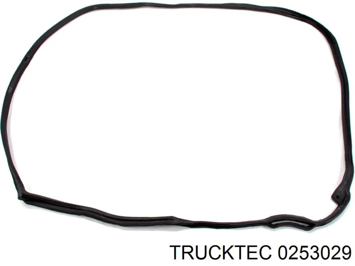 Ущільнювач двері передньої лівої (на двері) Trucktec 0253029 ціна, від 36.81 USD