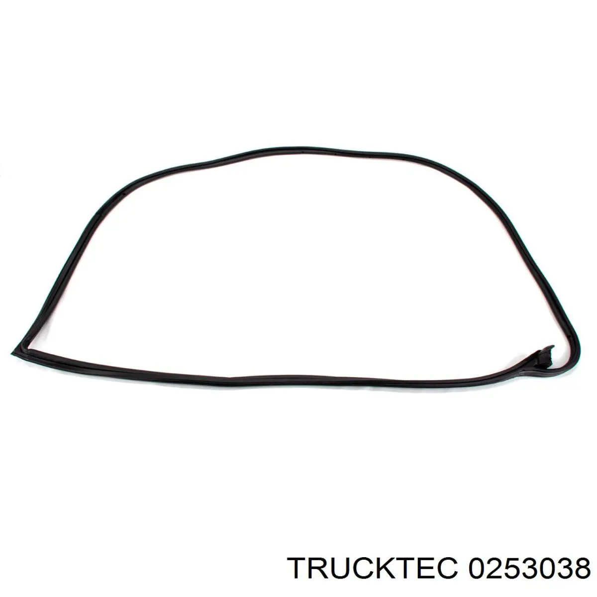 0253038 Trucktec Ущільнювач дверей передніх, правих (на кузові)