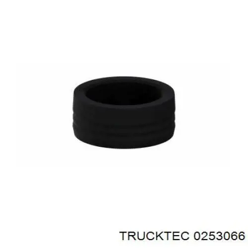 Купити 0253066 Trucktec Обмежувач відкриття дверей, передній