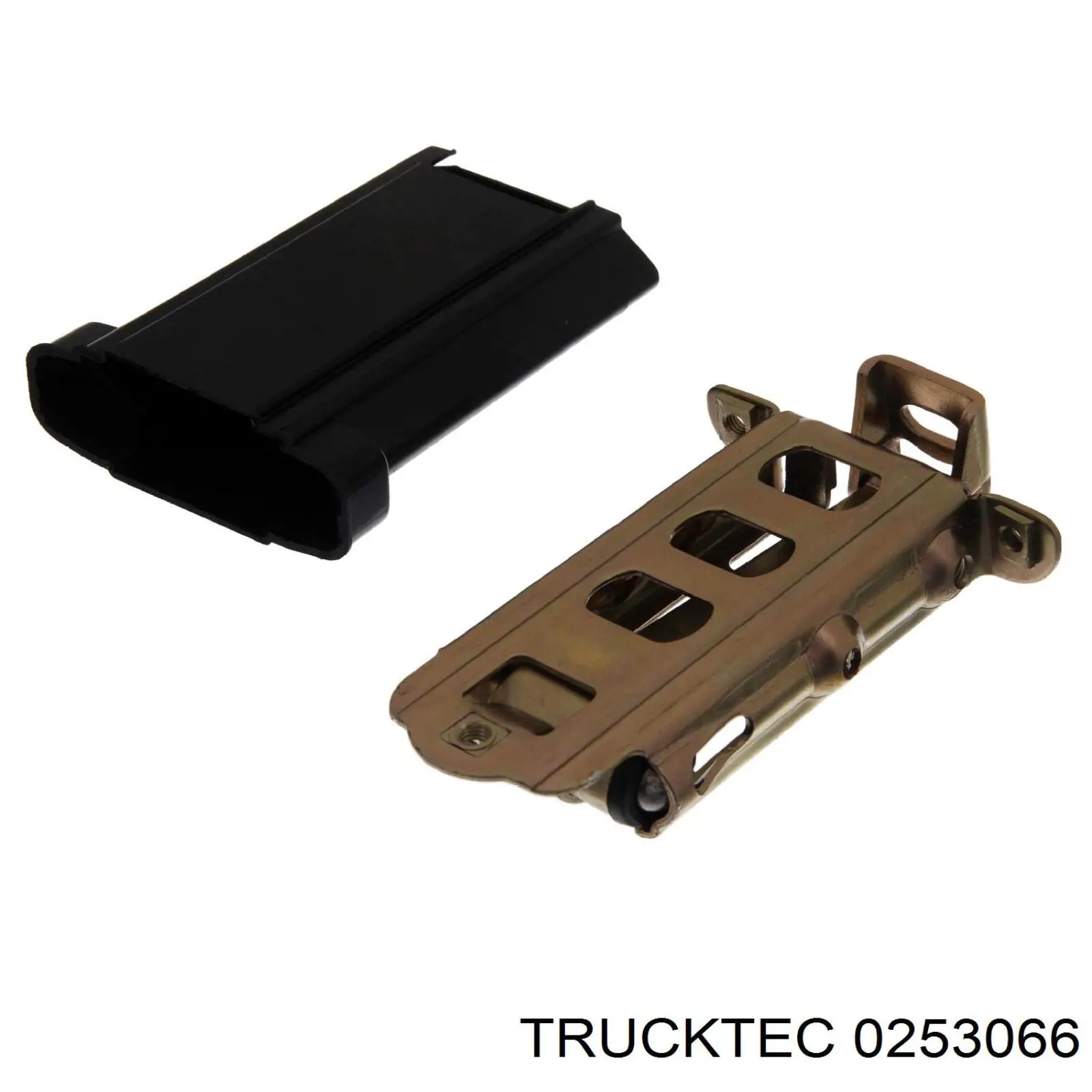 0253066 Trucktec Обмежувач відкриття дверей, передній