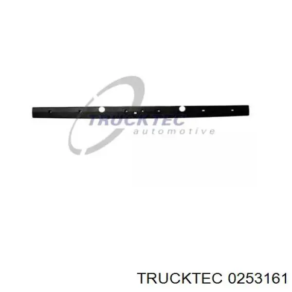 Купити 0253161 Trucktec Накладка задніх 3-х/5-х дверей, нижня