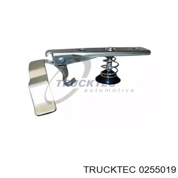 0255019 Trucktec Навішування і упор капота