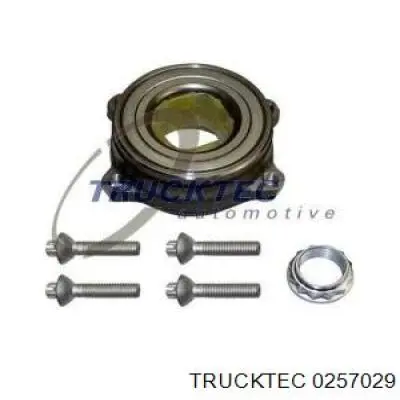 0257029 Trucktec Дзеркальний елемент правий