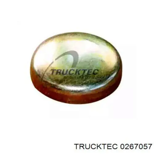 Заглушка ГБЦ/блоку циліндрів 0267057 Trucktec