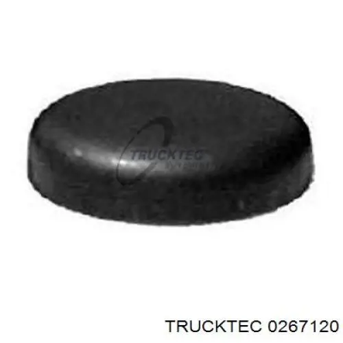 Заглушка ГБЦ/блоку циліндрів Trucktec 0267120 ціна, від 3.54 USD