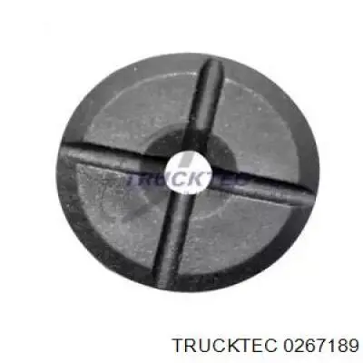 Купити 0267189 Trucktec Болт/гайка кріплення