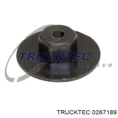 0267189 Trucktec Болт/гайка кріплення