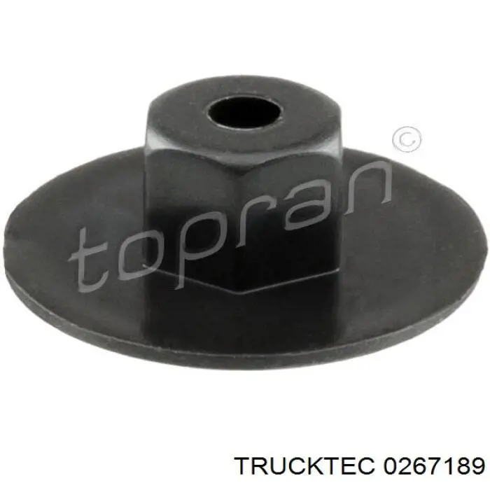 Болт/гайка кріплення Trucktec 0267189 ціна, від 0.44 USD