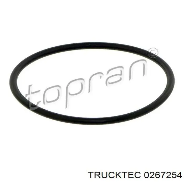  0267254 Trucktec