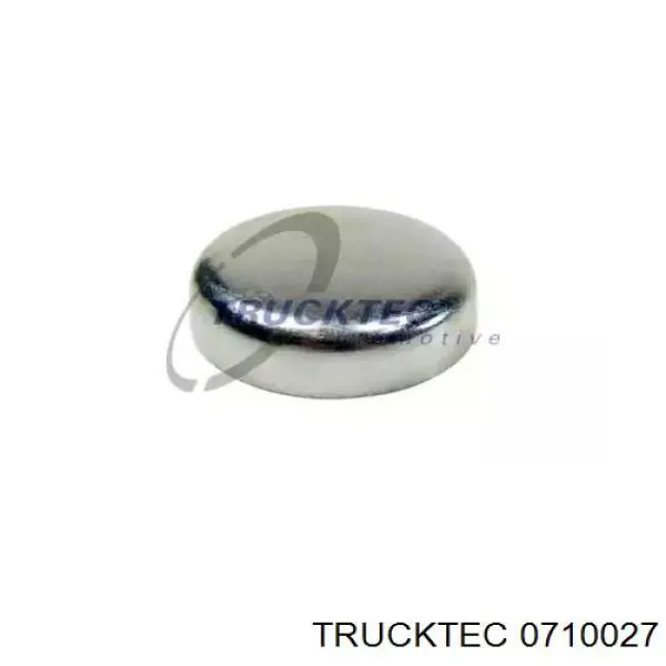 Заглушка ГБЦ/блоку циліндрів Trucktec 0710027 ціна, від 0.65 USD