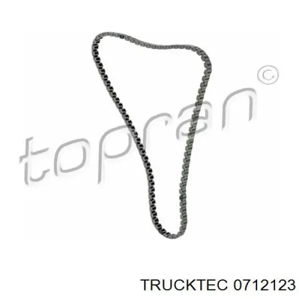 Ланцюг Trucktec 0712123 ціна, від 51.00 USD