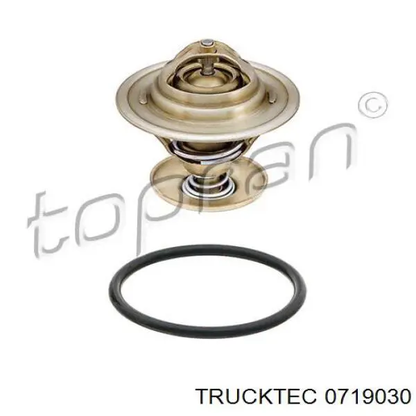Купити 0719030 Trucktec Термостат в корпусі