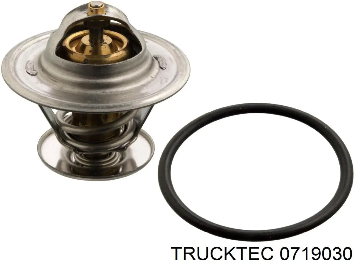 0719030 Trucktec термостат