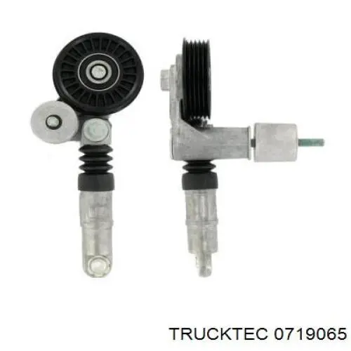 Ролик приводного ременя, паразитний 0719065 Trucktec