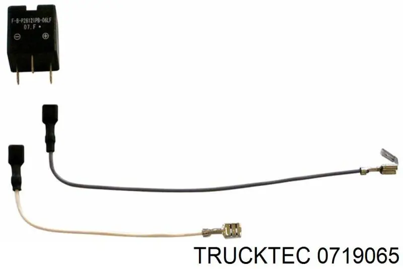 Ролик приводного ременя, паразитний Trucktec 0719065