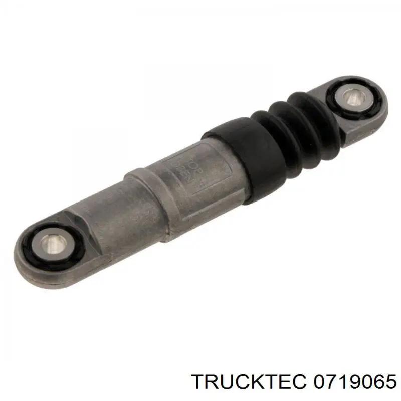 Купити 0719065 Trucktec Ролик приводного ременя, паразитний