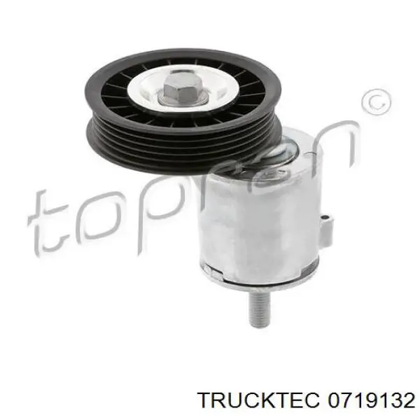 Натягувач приводного ременя Trucktec 0719132 ціна, від 32.43 USD