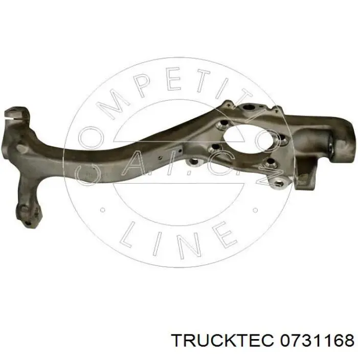 0731168 Trucktec Цапфа поворотна ліва