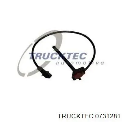 Купити 0731281 Trucktec Кулак поворотний передній правий