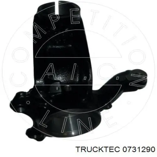 0731290 Trucktec Цапфа - поворотний кулак передній, лівий