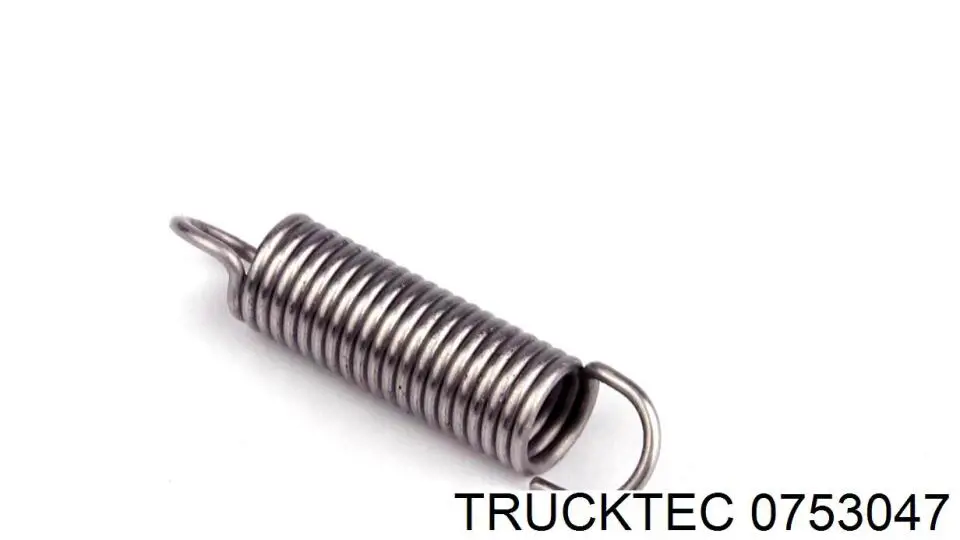 Ролик двері бічної/зсувної, правий нижній 0753047 Trucktec