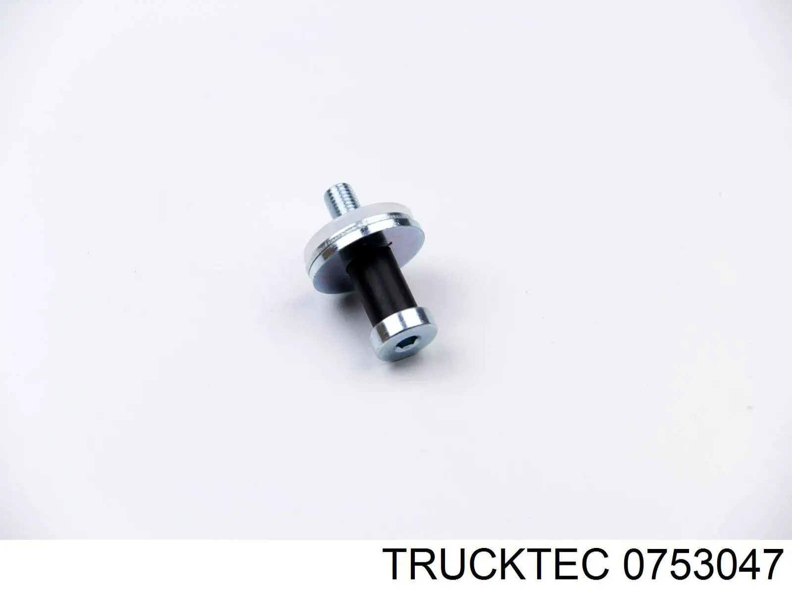 Купити 0753047 Trucktec Ролик двері бічної/зсувної, правий нижній
