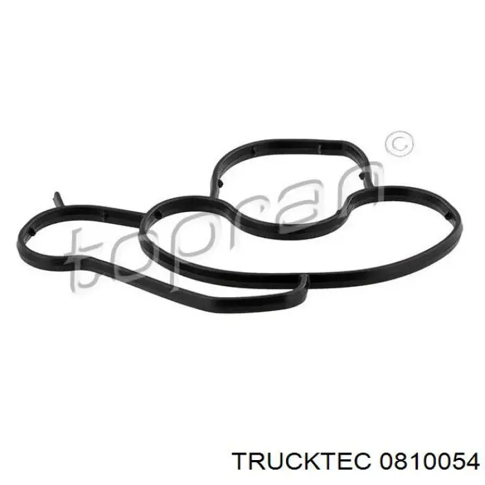 0810054 Trucktec Прокладка кронштейна маслянного фільтра