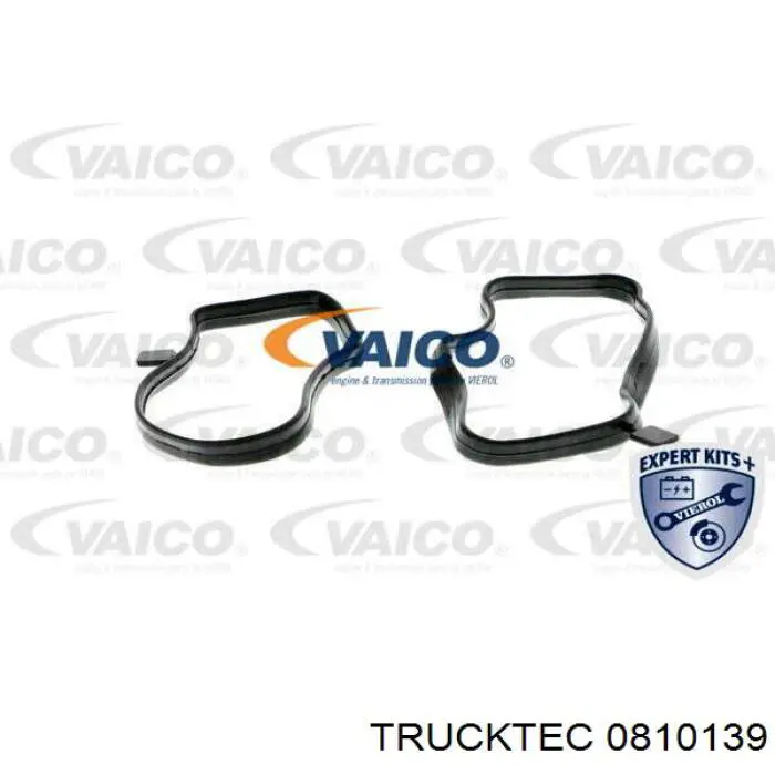 Клапан вентиляції картерних газів 0810139 Trucktec