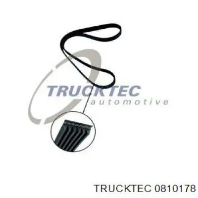 Клапан/актуатор приводу заслінок впускного колектора, нижній Trucktec 0810178 ціна, від 103.40 USD