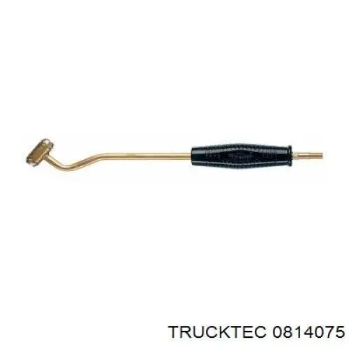 Прокладка колектору впуск Trucktec 0814075