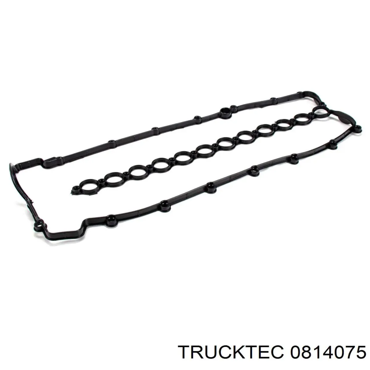 Купити 0814075 Trucktec Прокладка впускного колектора