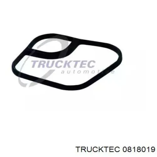 Купити 0818019 Trucktec Прокладка радіатора масляного