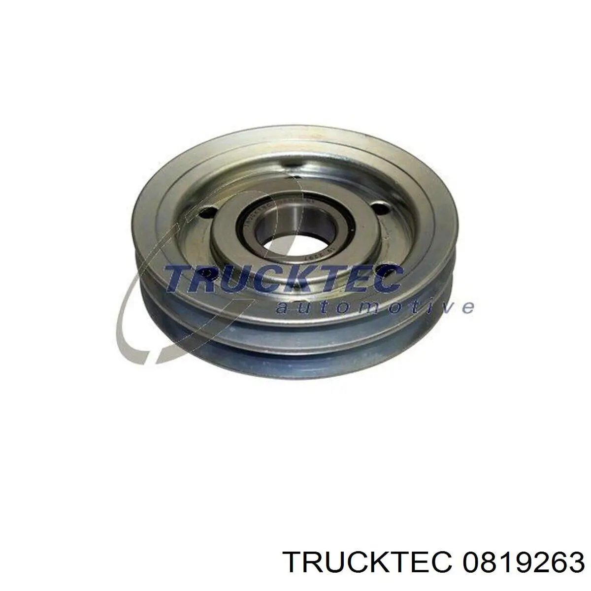 0819263 Trucktec Насос охолодження