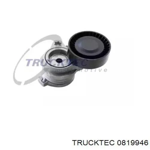 Натягувач приводного ременя 0819946 Trucktec