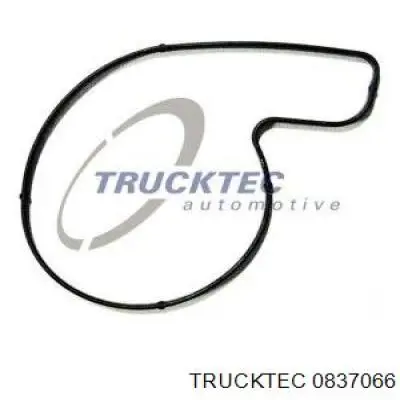 Шків насосу гідропідсилювача керма (ГПК) 0837066 Trucktec